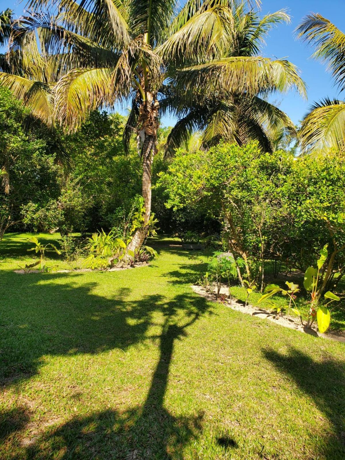 Bed and Breakfast Les Citronniers Ile Sainte-Marie Экстерьер фото